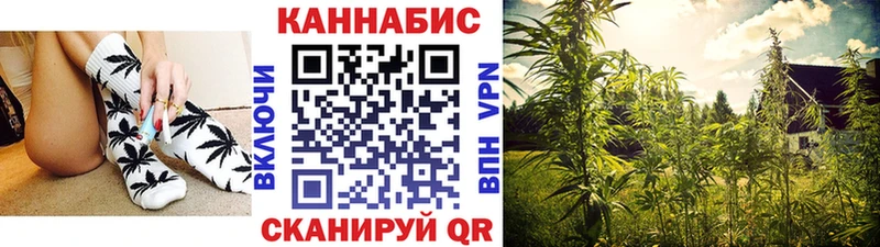 закладка Чайковский Марихуана White Widow